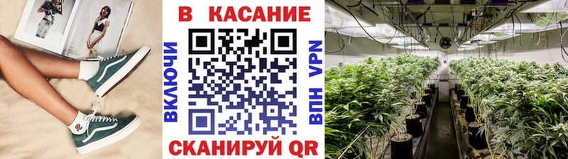 Сколько стоит Гатчина Кокаин  Alpha-PVP  Меф 