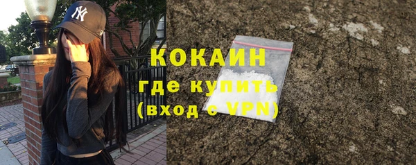 прущая мука Богородицк
