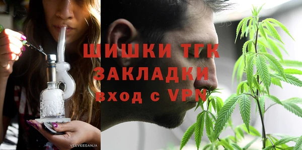 спиды Богородск